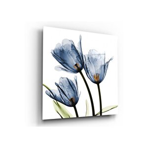 Lale Cam Tablo 30x30 cm