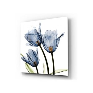 Lale Cam Tablo 30x30 cm