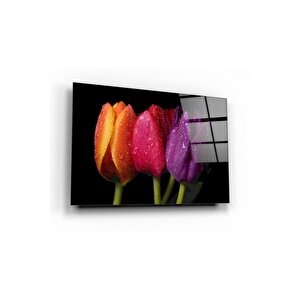 Laleler Cam Tablo 60x90 cm