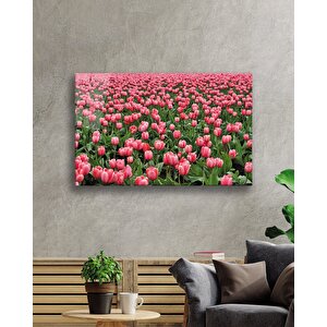 Pembe Lale Çiçek Pink Tulip Flower 36x23 cm