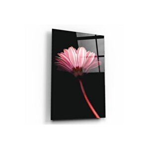 Papatya Cam Tablo 60x90 cm