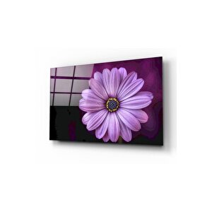 Papatya Cam Tablo 50x70 cm