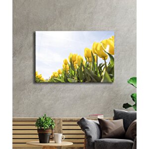 Sarı Lale Cam Tablo Yellow Flowers 50x70 cm
