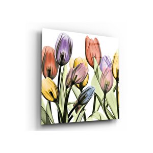 Lale Cam Tablo 80x80 cm