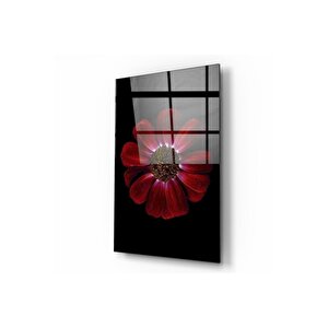 Papatya Cam Tablo 50x70 cm