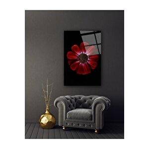 Papatya Cam Tablo 50x70 cm