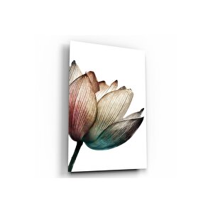 Lale Cam Tablo 50x70 cm