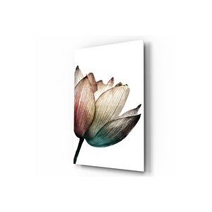 Lale Cam Tablo 50x70 cm