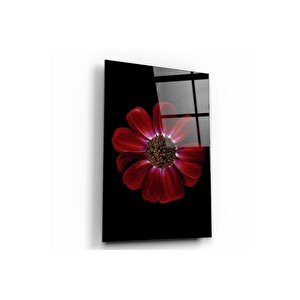 Papatya Cam Tablo 60x90 cm