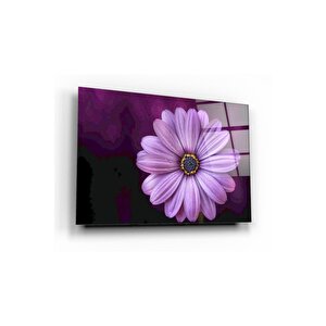 Papatya Cam Tablo 70x110 cm