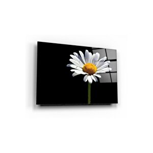 Papatya Cam Tablo 50x70 cm