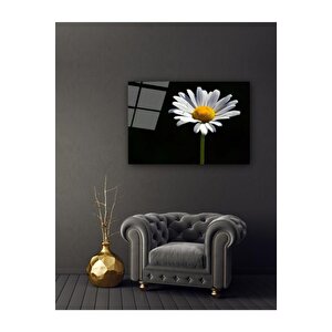 Papatya Cam Tablo 50x70 cm