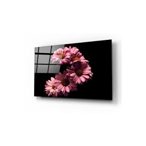 Papatyalar Cam Tablo 50x70 cm