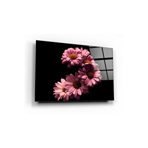 Papatyalar Cam Tablo 50x70 cm