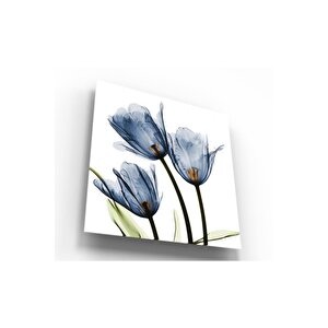 Lale Cam Tablo 30x30 cm