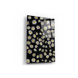 Papatyalar Cam Tablo 50x70 cm