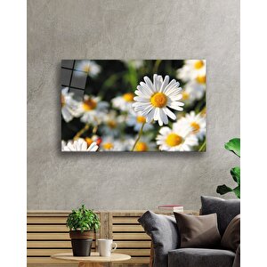 Papatya Cam Tablo Daisy 50x70 cm