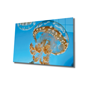 Denizanası Cam Tablo Medusae 90x60 cm