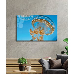 Denizanası Cam Tablo Medusae 90x60 cm