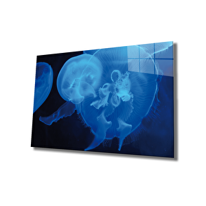 Mavi Denizanası Cam Tablo Blue Jellyfish 36x23 cm