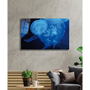 Mavi Denizanası Cam Tablo Blue Jellyfish 36x23 cm