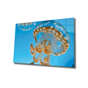 Denizanası Cam Tablo Medusae 36x23 cm