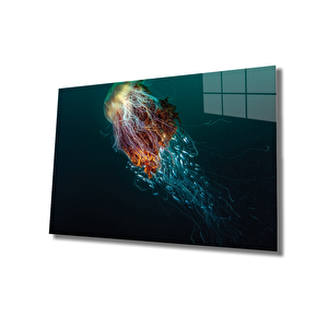 Denizanası Cam Tablo Jellyfish 50x70 cm