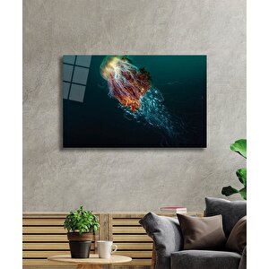 Denizanası Cam Tablo Jellyfish 50x70 cm
