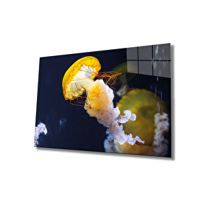 Sarı Denizanası Cam Tablo Yellow Jellyfish 36x23 cm