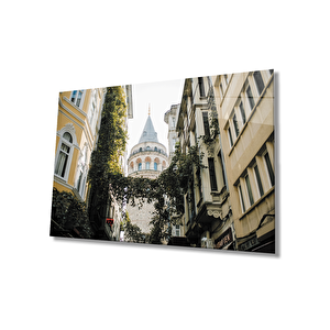 İstanbul Sarmaşıklı Sokak Ve Galata Manzaralı Cam Tablo 50x70 cm