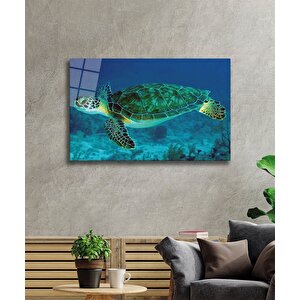 Deniz Kaplumbağası Cam Tablo Sea Turtle 36x23 cm