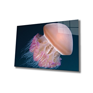 Denizanası Cam Tablo Jellyfish 36x23 cm