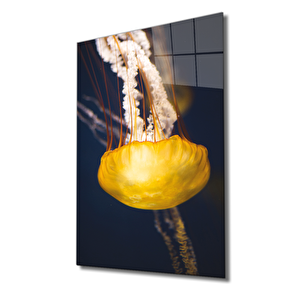 Sarı Denizanası Cam Tablo Yellow Jellyfish 36x23 cm