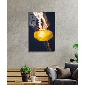 Sarı Denizanası Cam Tablo Yellow Jellyfish 36x23 cm