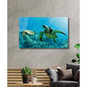 Deniz Kaplumbağası Cam Tablo Sea Turtle 36x23 cm
