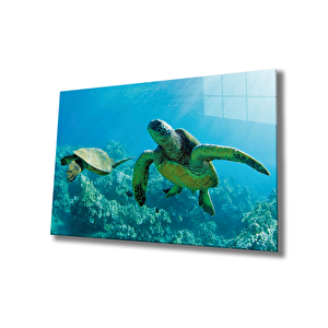 Deniz Kaplumbağası Cam Tablo Sea Turtle