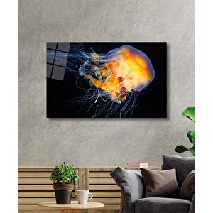 Denizanası Cam Tablo Jellyfish 36x23 cm