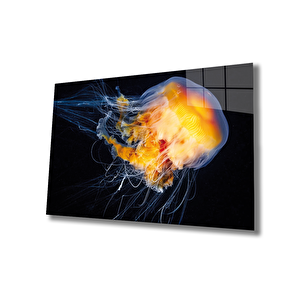 Denizanası Cam Tablo Jellyfish 50x70 cm