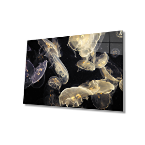 Denizanası Cam Tablo 50x70 cm