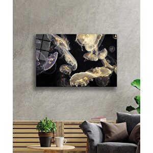 Denizanası Cam Tablo 50x70 cm