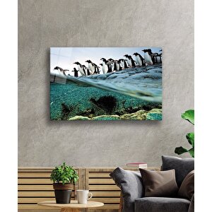 Penguenler Cam Tablo 50x70 cm