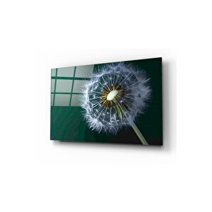 Karahindiba Cam Tablo 60x90 cm