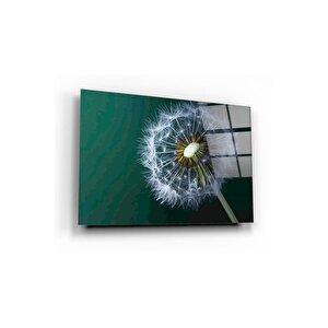 Karahindiba Cam Tablo 60x90 cm