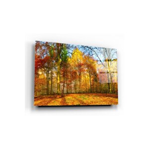 Orman Cam Tablo 70x110 cm