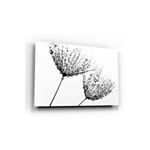 Karahindiba Cam Tablo 50x70 cm