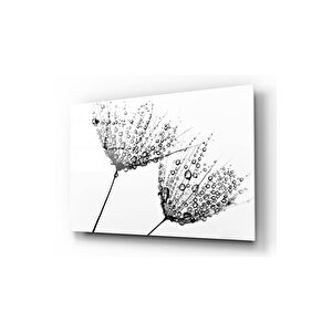 Karahindiba Cam Tablo 50x70 cm