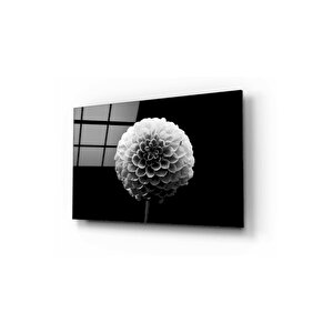 Karahindiba Cam Tablo 50x70 cm
