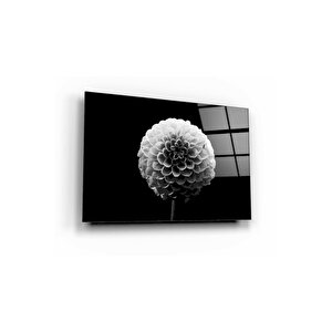 Karahindiba Cam Tablo 50x70 cm