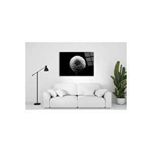 Karahindiba Cam Tablo 50x70 cm
