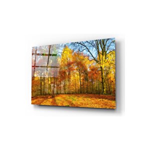 Orman Cam Tablo 50x70 cm